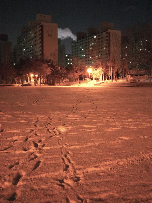No Description